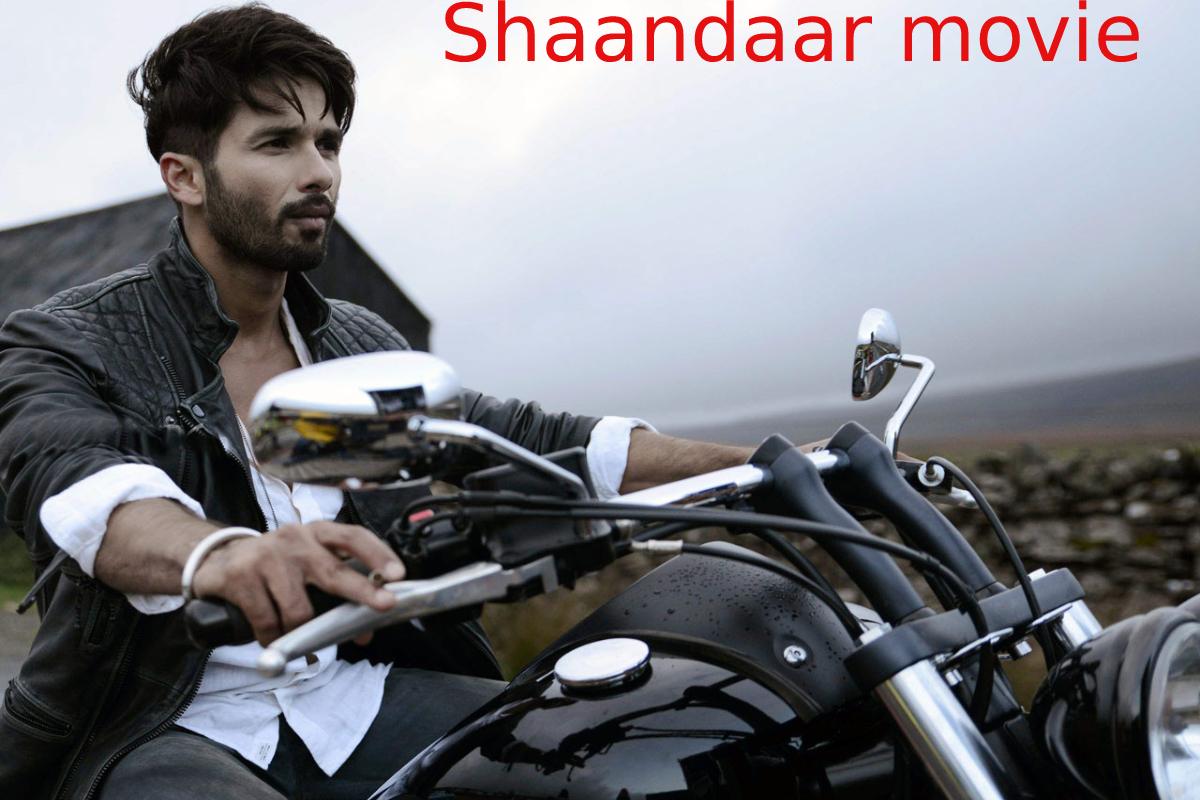 Shaandaar