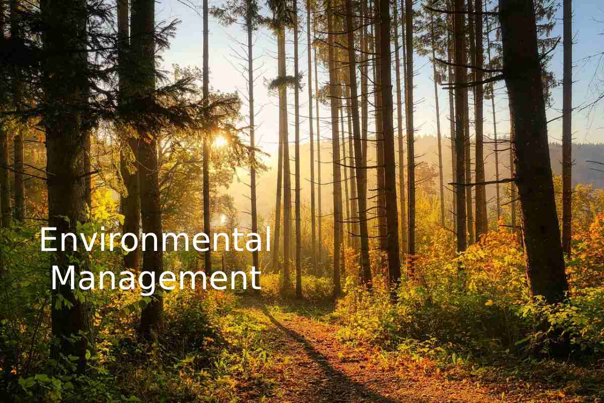 Environmental Management