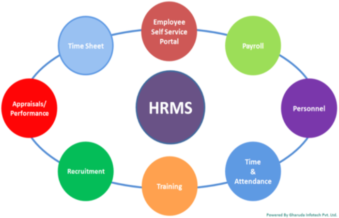 Human Resource Management Software