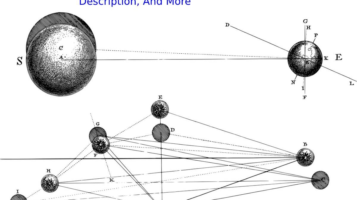 Physical Education? –  Definition, And More