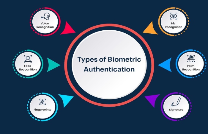 Types Of Biometrics