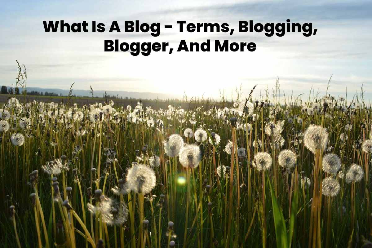 What Is A Blog - Terms, Blogging, Blogger, And More
