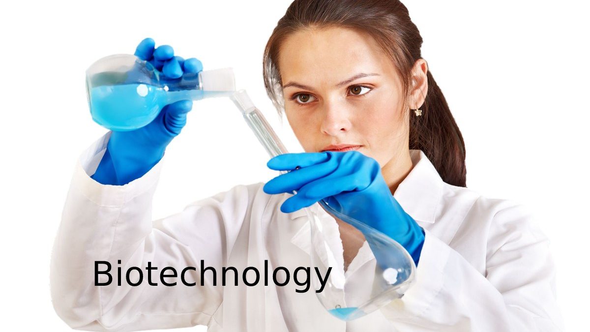 What Is Biotechnology? – Important, History, Work, And More