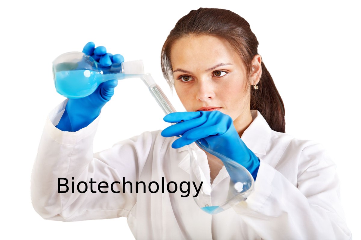 What Is Biotechnology_ – Important, History, Work, And More