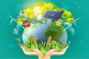 importance of environmental science