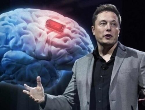 Elon Musk in 2024 Neuralink Start to Implantation of Brain Chips in Humans