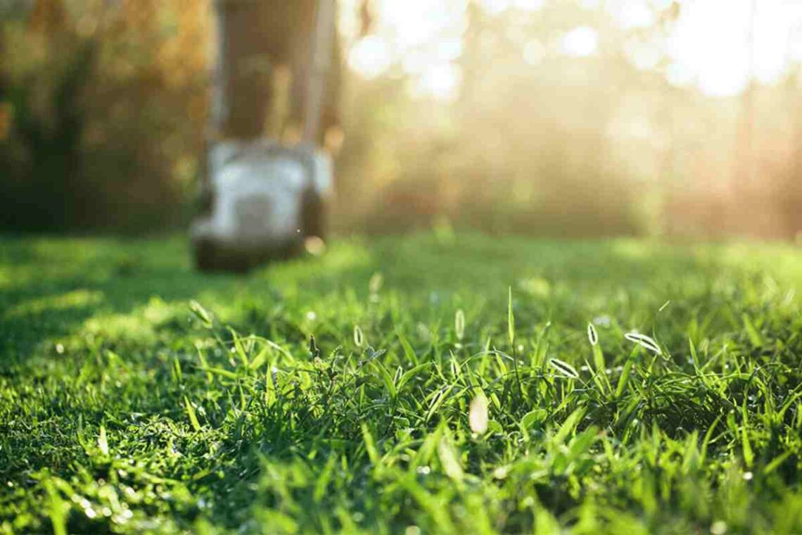 Garden Maintenance And Seven Lawn Care Tips