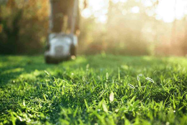 Garden Maintenance And Seven Lawn Care Tips