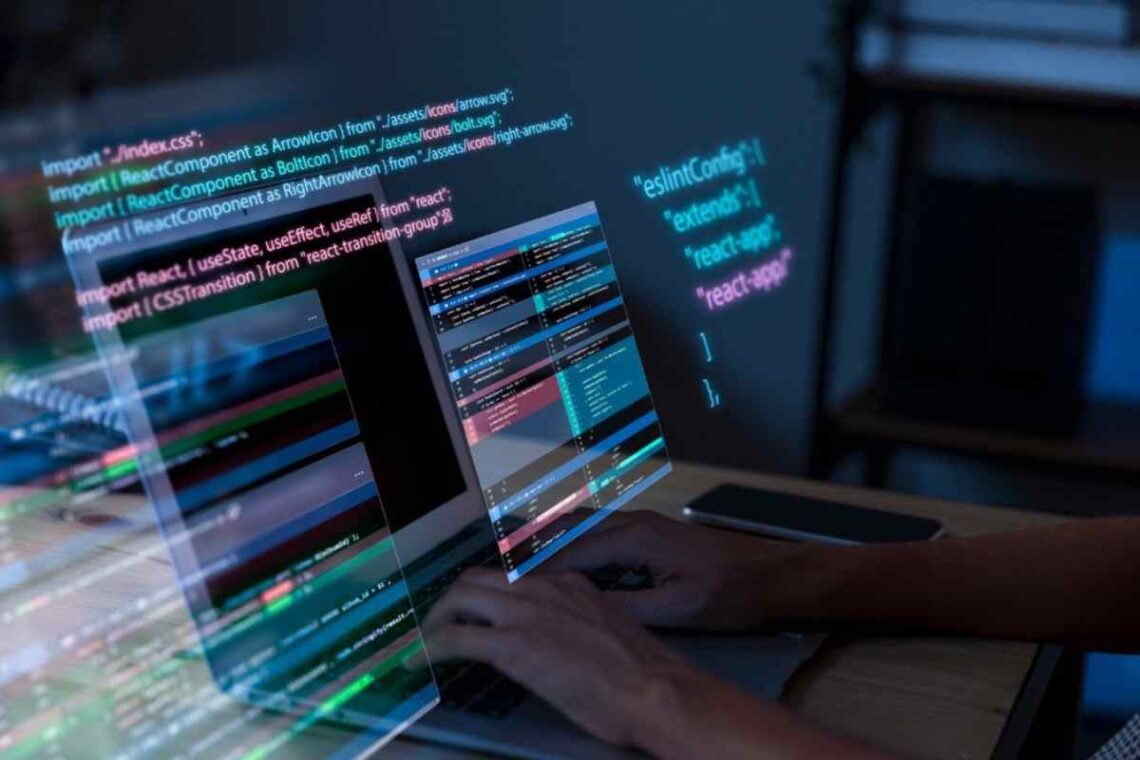Software Developer Ne Demek