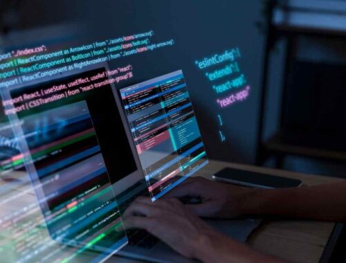 Software Developer Ne Demek