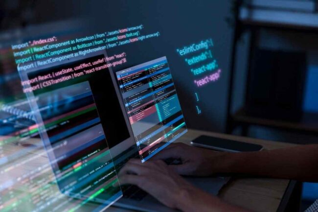 Software Developer Ne Demek