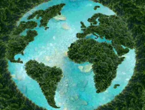 Environmental Science